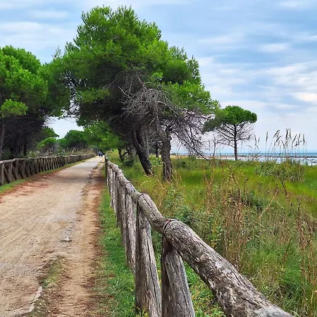 Apartment Bright Flat Near The - Beahost Bibione